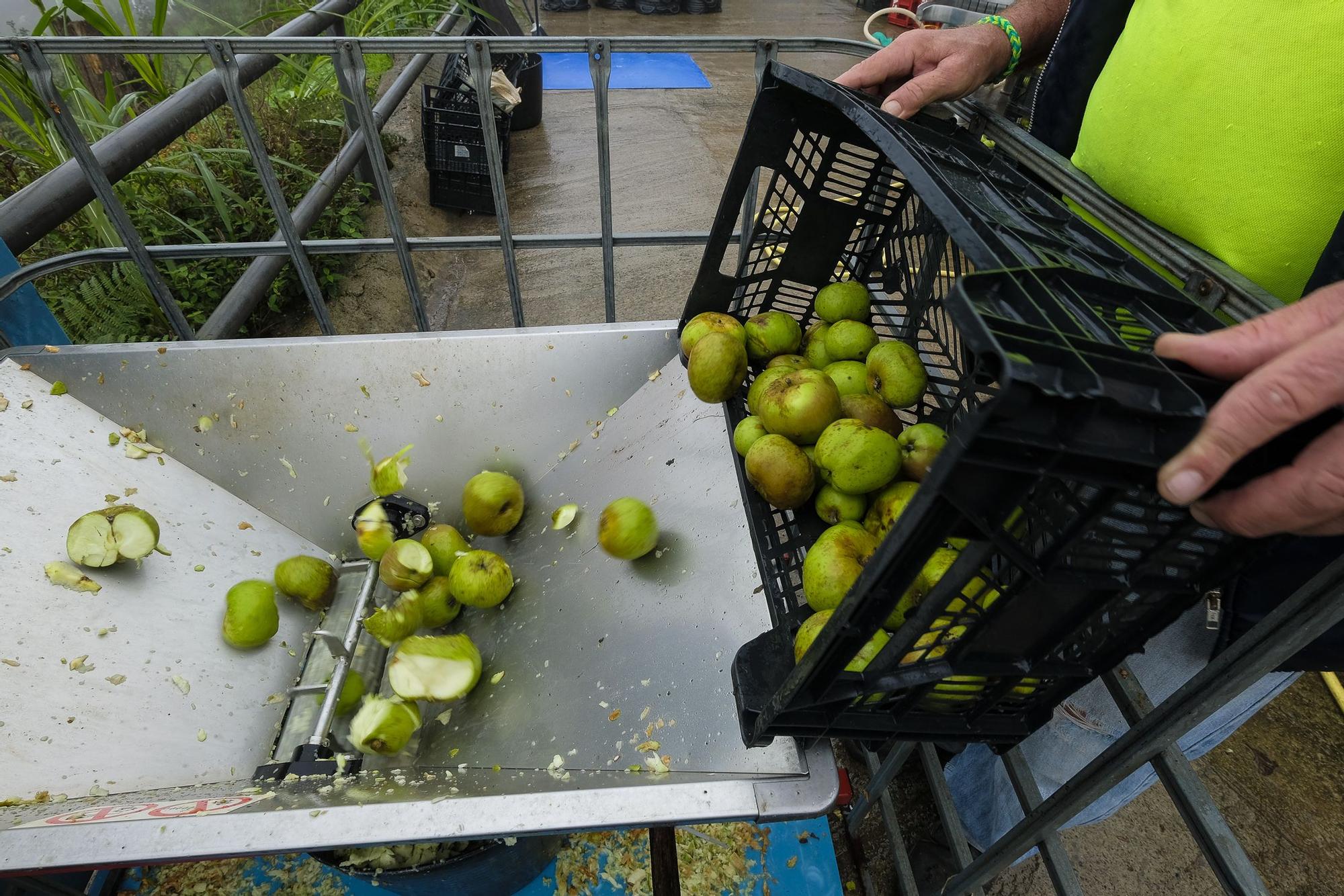 Un chubasco de manzanas