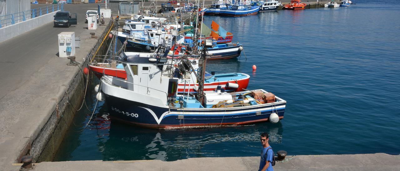 Embarcaciones de pesca en el muelle de Arguineguín.