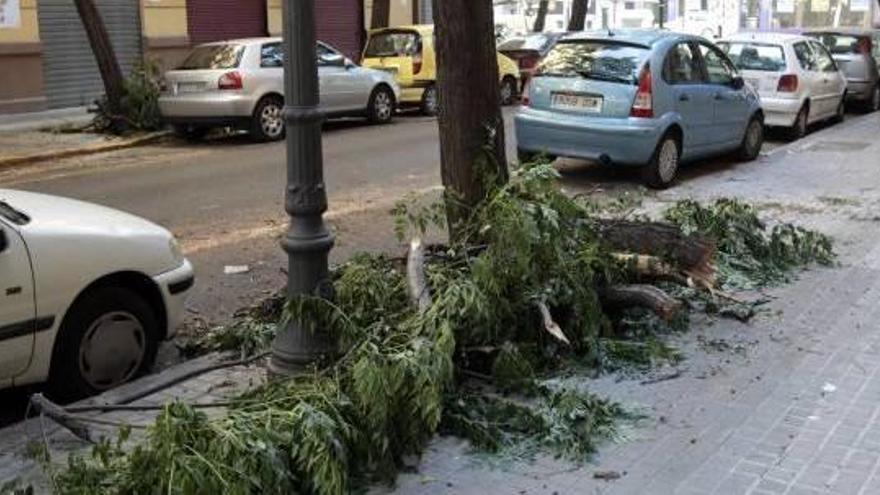 La poda nocturna mantiene en vela a los vecinos de la calle Alejandro VI