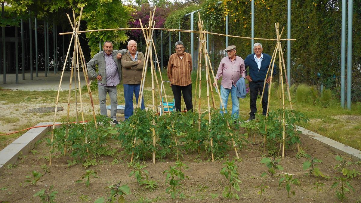 El CC Baró de Viver ha abierto el ‘Espacio de huerto’ para que la gente mayor aprenda a cultivar hierbas aromáticas y flores.