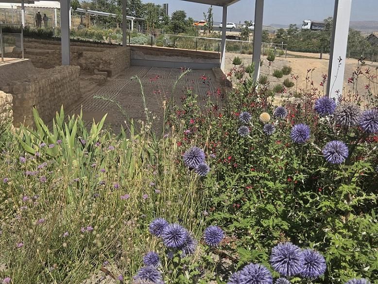 La Villa Romana de la Estación de Antequera abre sus puertas