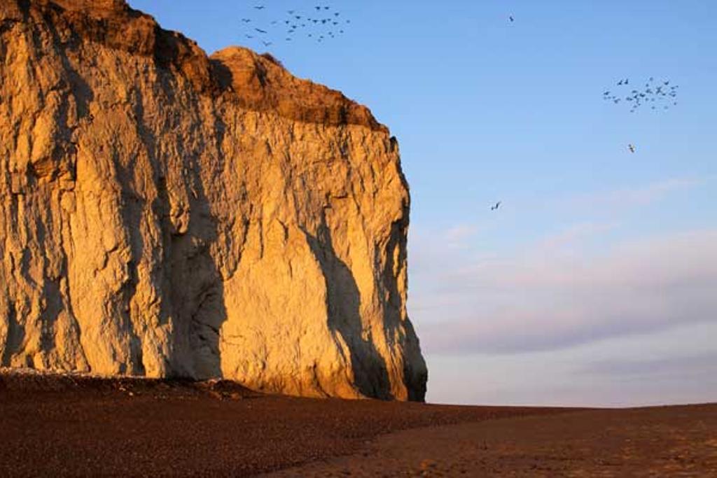 Península Valdés, el balcón al mar de la Patagonia