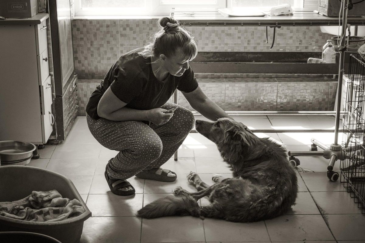 Olena Voshun, directora del refugio animal Chance For Life, en la ciudad ucraniana de Nikopol.