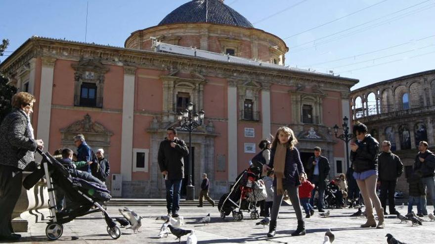 Plan para bajar la cifra de palomas y estorninos sin realizar sacrificios