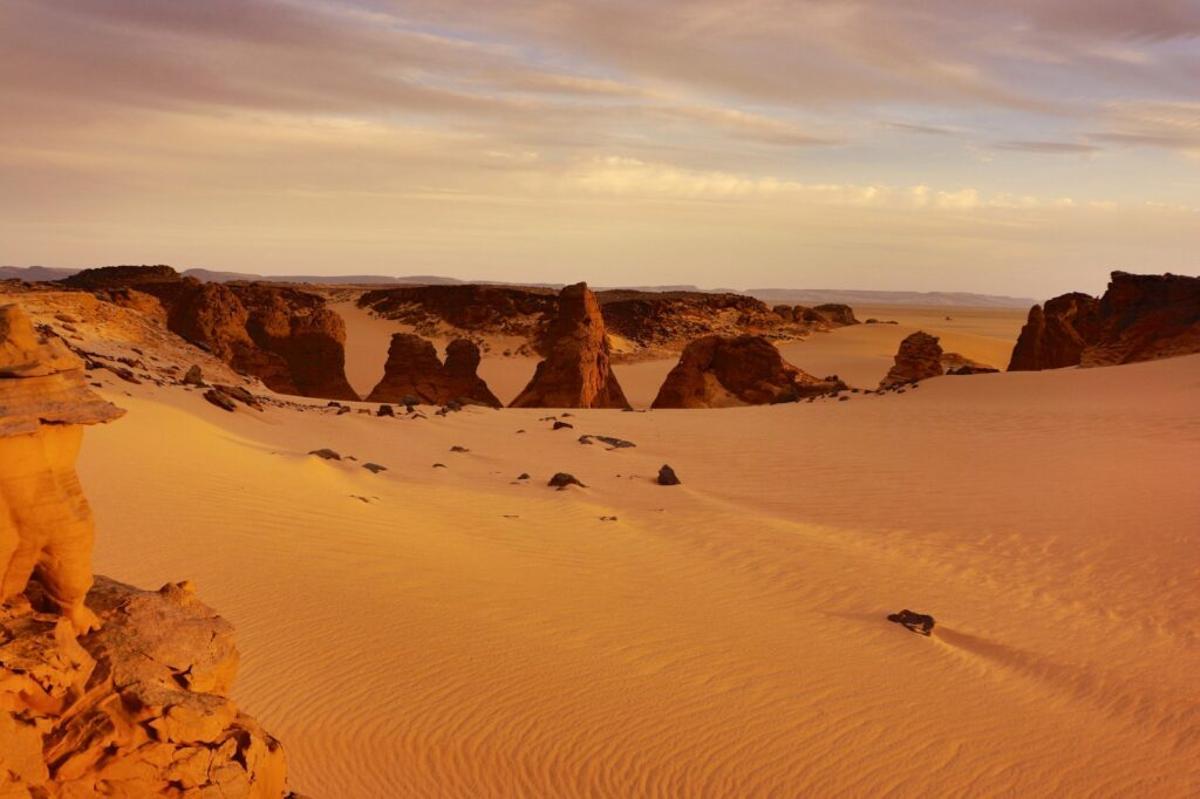 11.800 millones de euros para crear la Gran Muralla Verde frente al Sahara