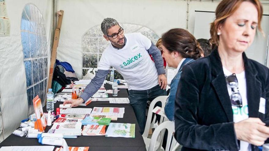 carpa para concienciar sobre las alergias