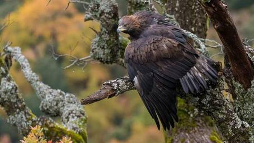 Iberia, naturaleza infinita