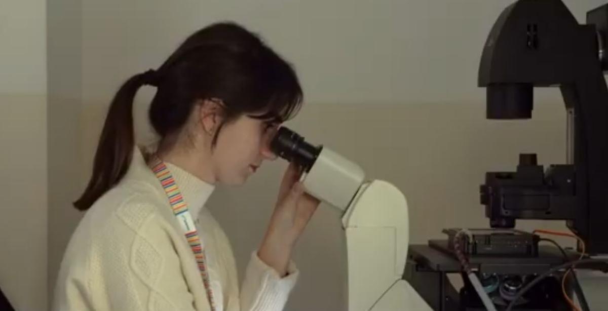 Los autores apuntan que este mecanismo podría actuar como un sistema de fondo que regula el estado social del cerebro