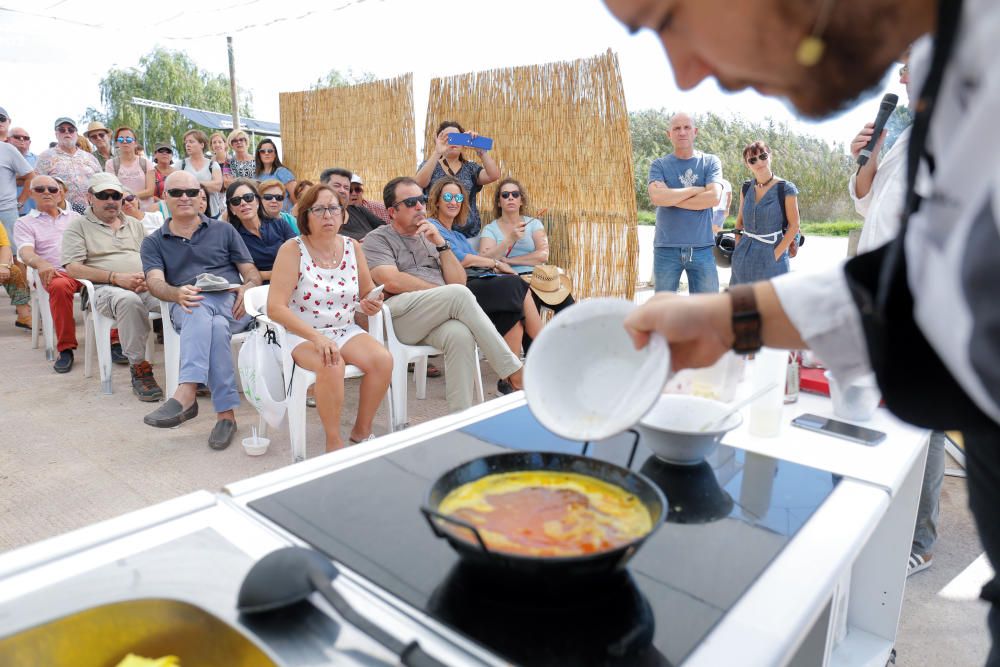 Siega y 'perxa' en l´Albufera