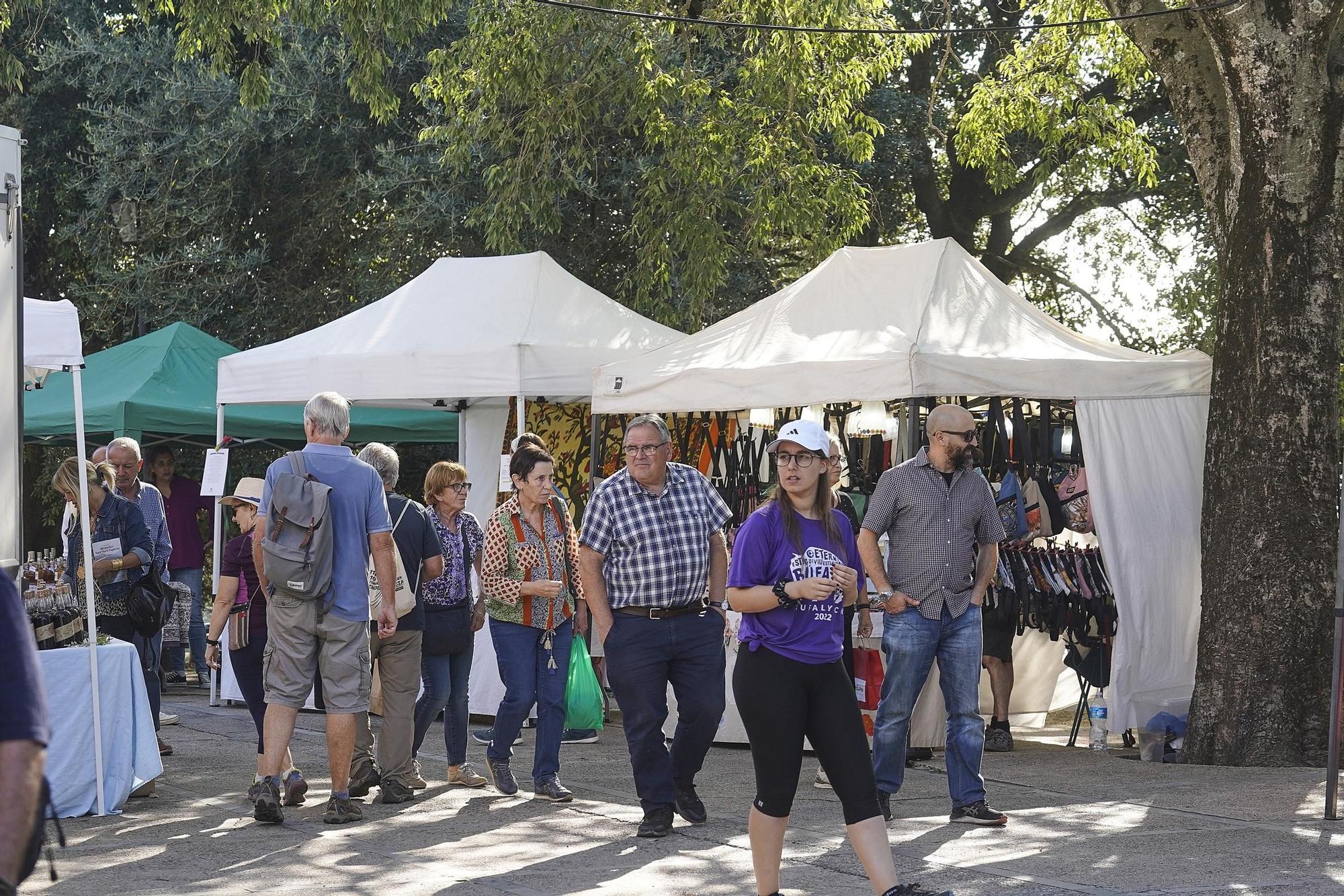 Les millors imatges de la fira de l'Avellana de Brunyola