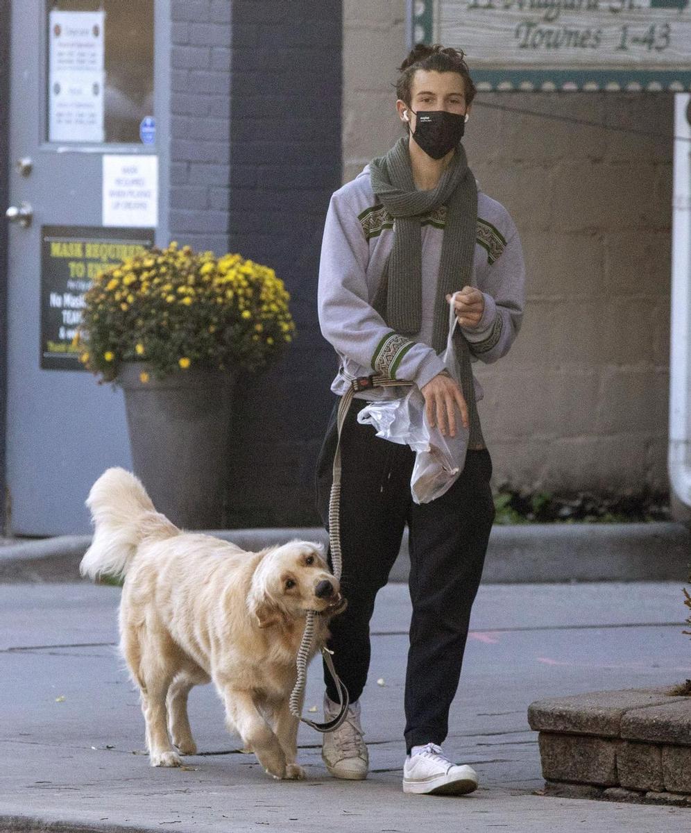 Shawn Mendes con su perro en Toronto