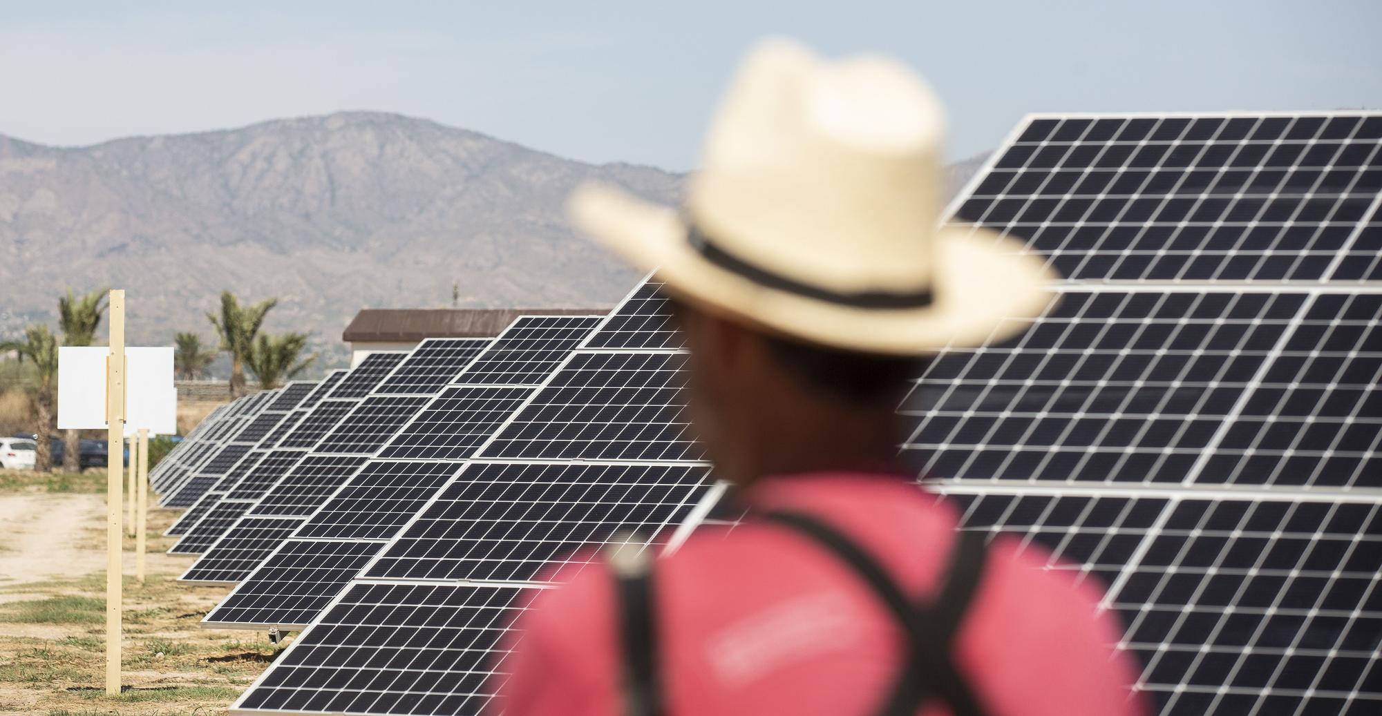 La primera planta solar de la cooperativa eléctrica de Catral ve la luz después de tres años