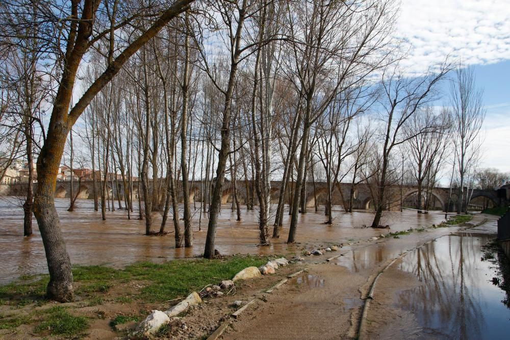 El aspecto del Duero tras las últimas avenidas