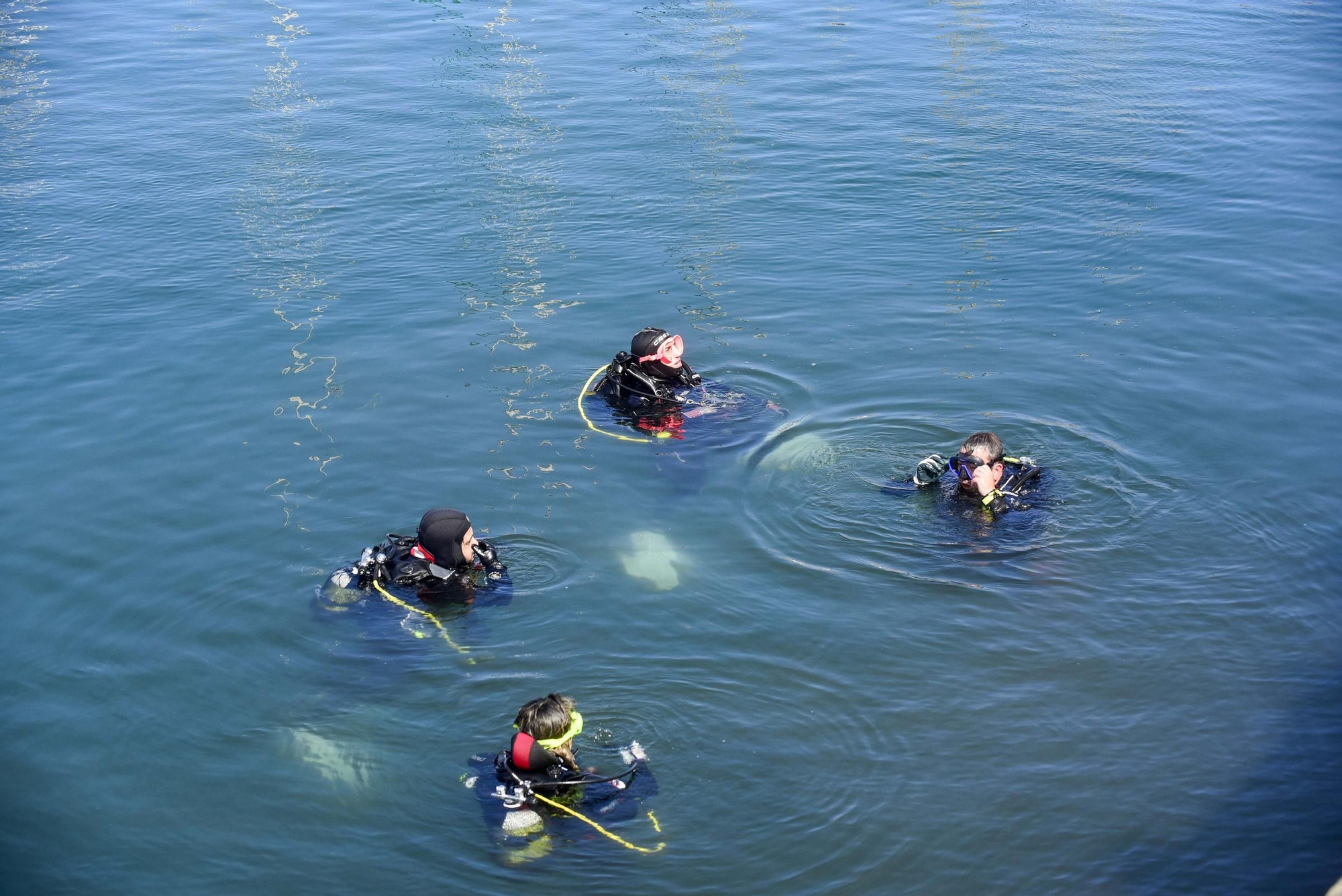 VI Gran limpieza de fondos marinos en A Coruña
