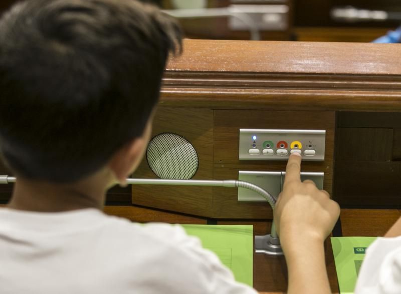 66 escolares ejercen de diputados por un día