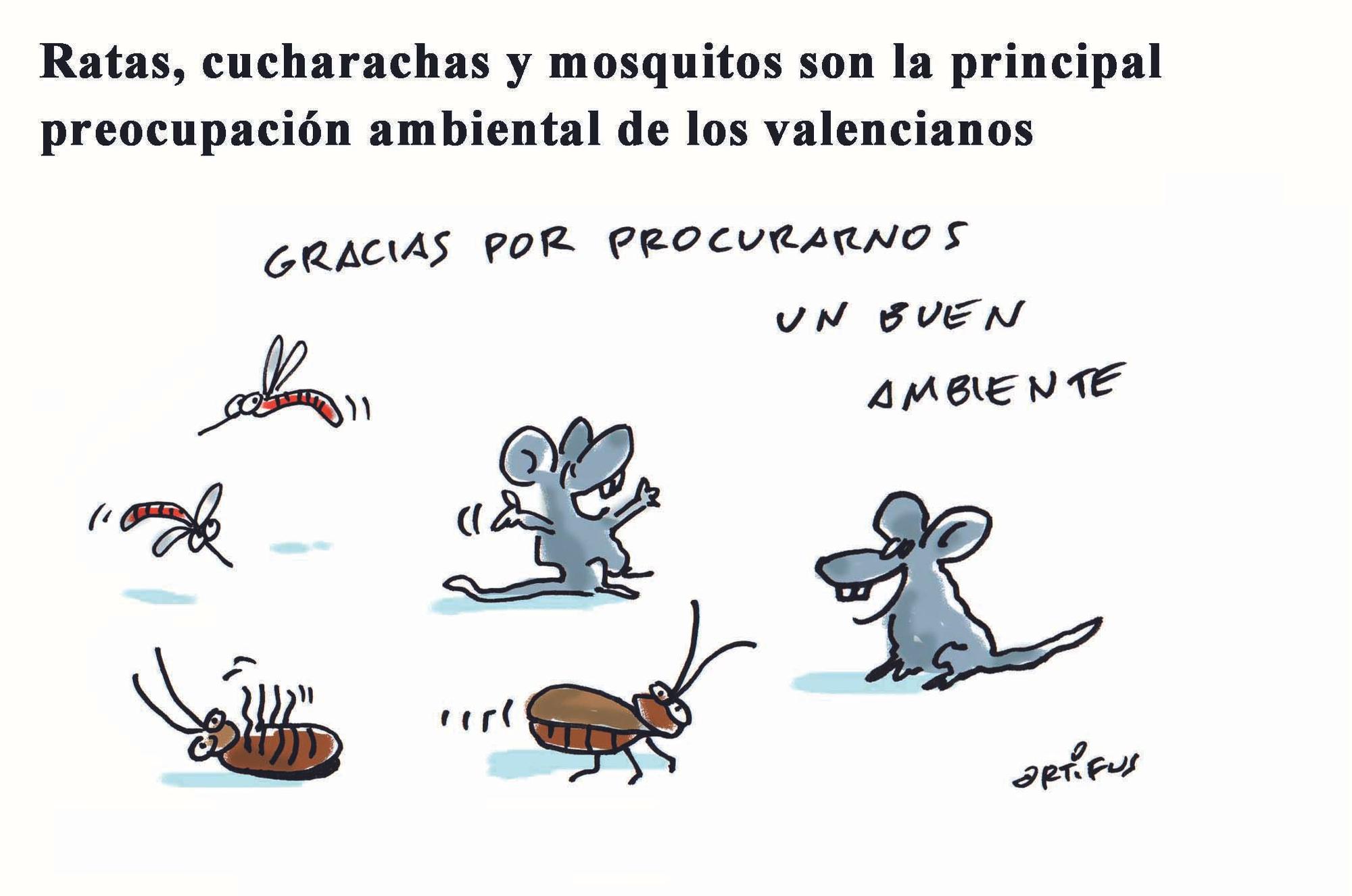 Ratas, cucarachas y mosquitos son la principal preocupación ambiental de los valencianos