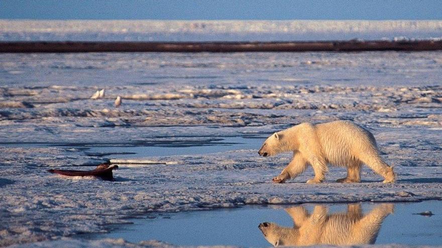 Trump abre el Ártico a la explotación petrolera