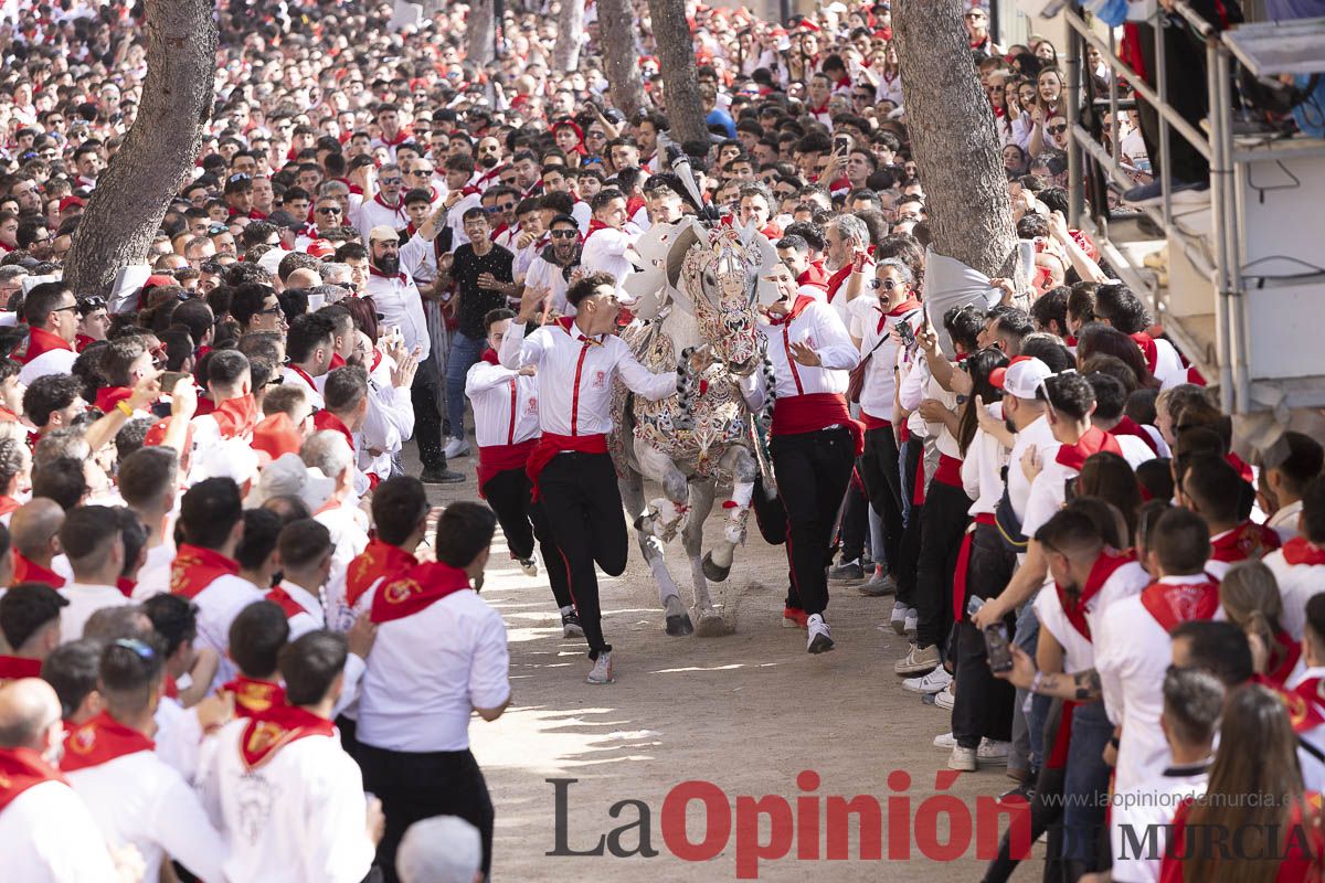Así se ha vivido la carrera de Los Caballos del Vino en Caravaca
