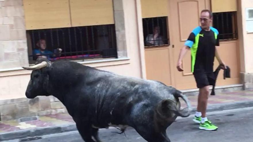 El herido en los bous al carrer de Puçol recorta al toro que más tarde lo embistió