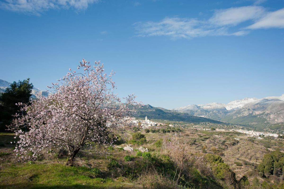 Valle del Guadalest, Alicante