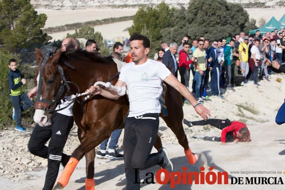 Entrenamiento Caballos del Vino