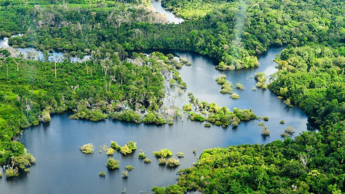 Com una mutació genètica protegeix d’una infecció les poblacions de l’Amazones