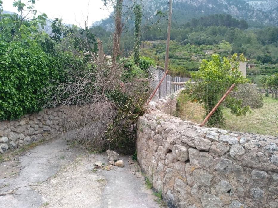 El temporal de viento provoca numerosos inciedentes en Sóller