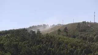 Controlado un incendio forestal en Siador tras quemar dos hectáreas de arboledo