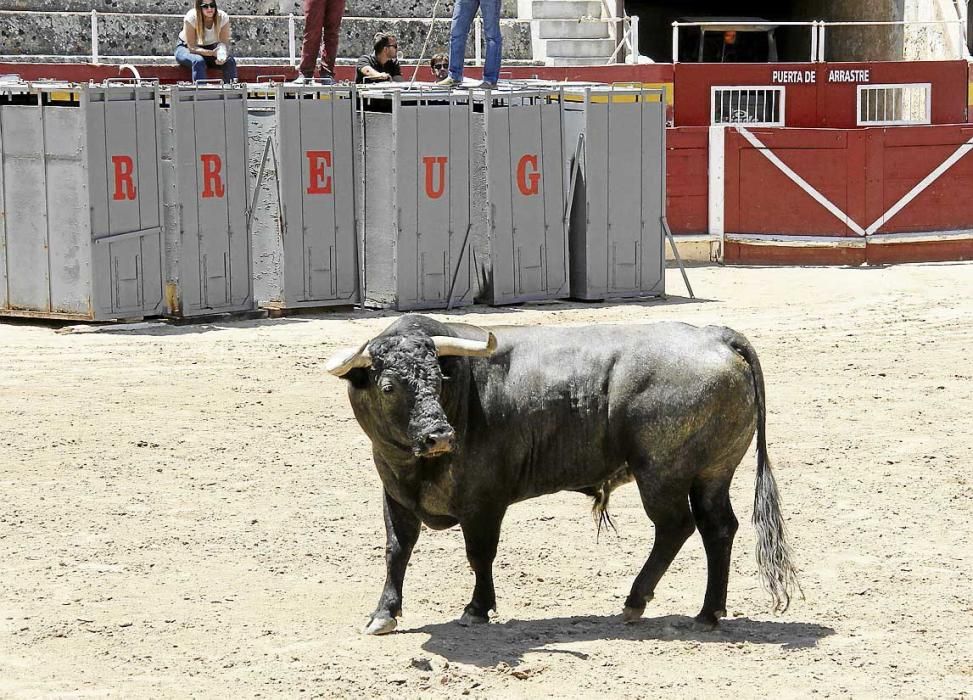 El alma de Fandiño entre el cielo y el ruedo