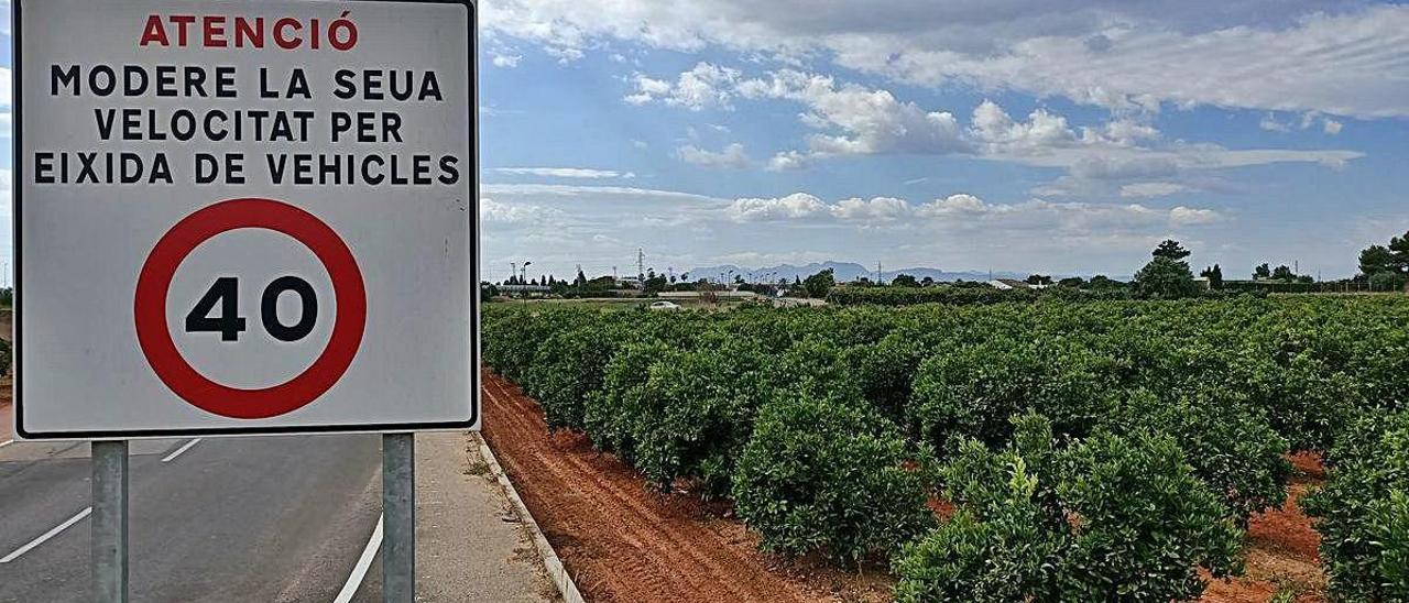 Terrenos donde se ubicaría la factoría de baterías eléctricas en Almussafes.