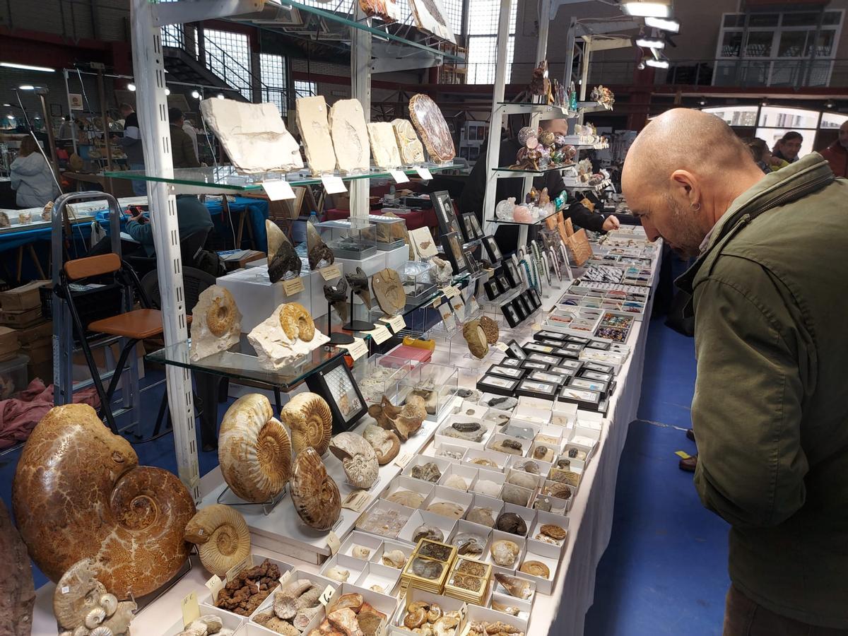 En imágenes: Éxito de la primera feria de fósiles, meteoritos y minerales de Vegadeo
