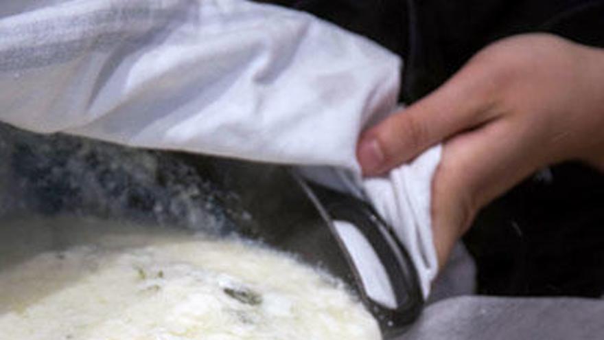 Te contamos cómo hacer tu propio queso fresco en casa