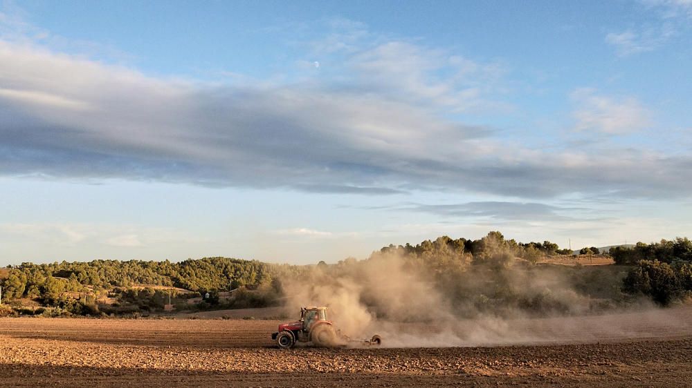 Preparant el camp per si un dia vol ploure.