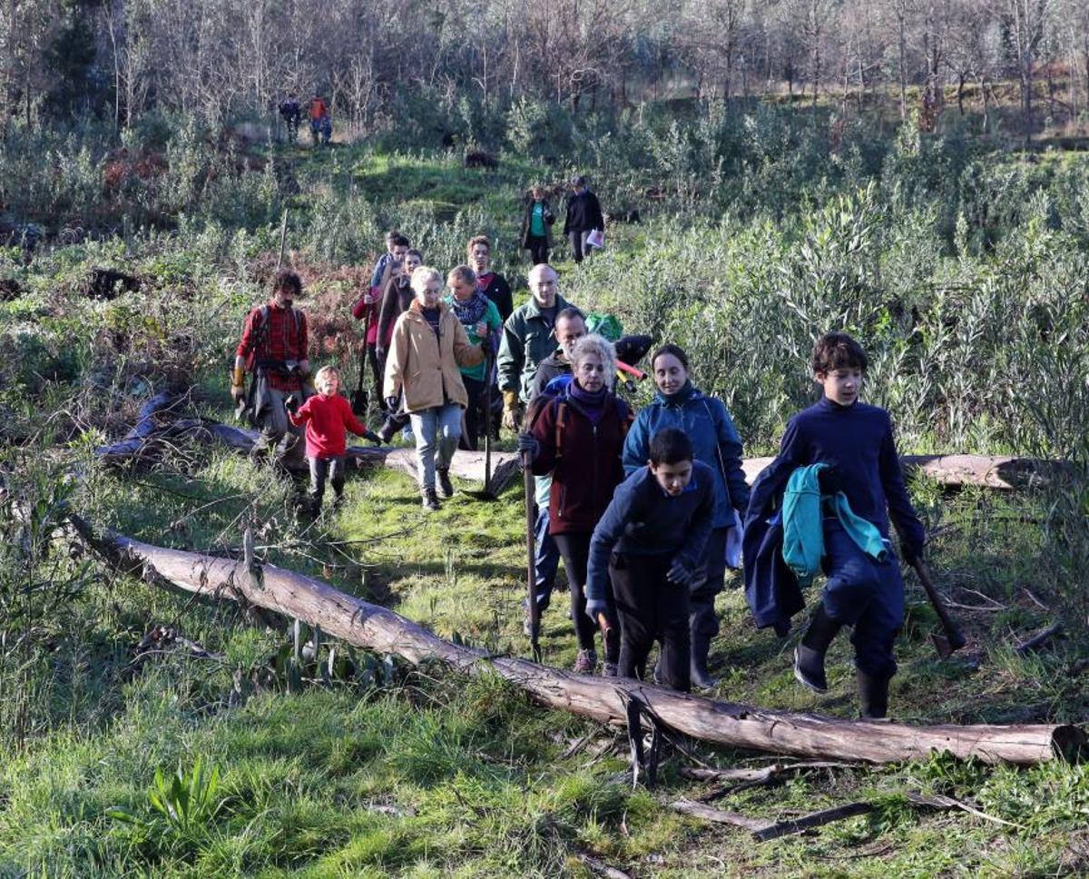 La Comunidad de Montes de Coruxo, que, en colaboración con las brigadas deseucaliptizadoras de Verdegaia, organizaron una jornada de voluntariado para liberar de eucaliptos el regato de O Pontón. La Comunidad de Montes de Coruxo, que, en colaboración con las brigadas deseucaliptizadoras de Verdegaia, organizaron una jornada de voluntariado para liberar de eucaliptos el regato de O Pontón.