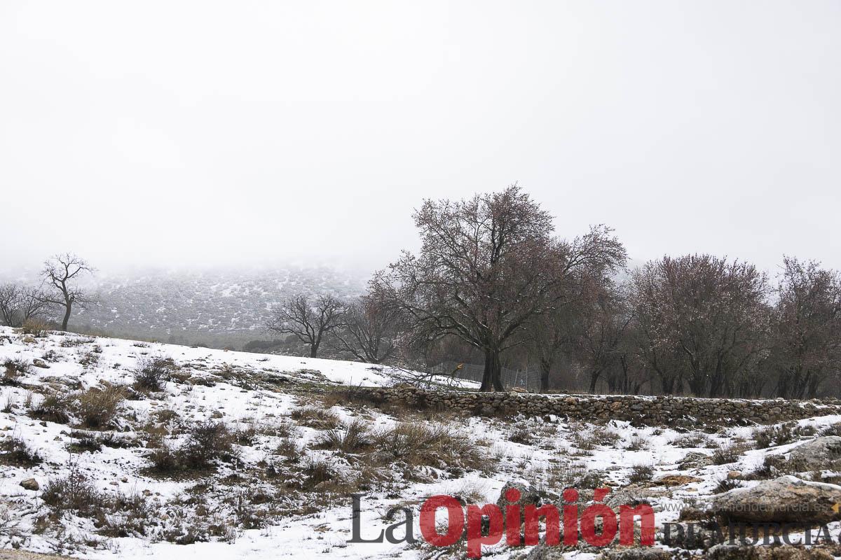 Así se está viviendo la última nevada en las proximidades de Revolcadores en Moratalla Así se está viviendo la última nevada en las proximidades de Revolcadores en Moratalla