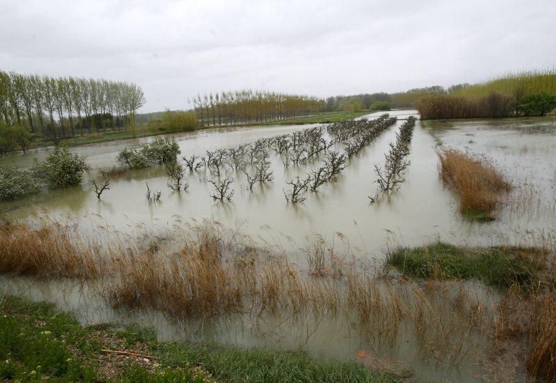 Crecida del Ebro