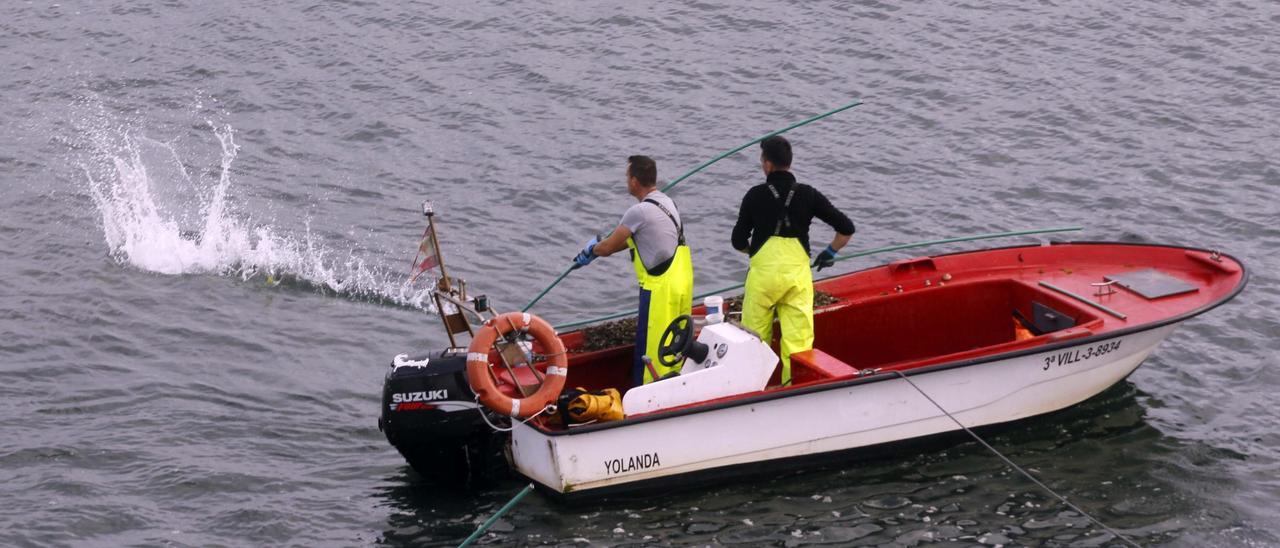 Rañeiros en la apertura del libre marisqueo.