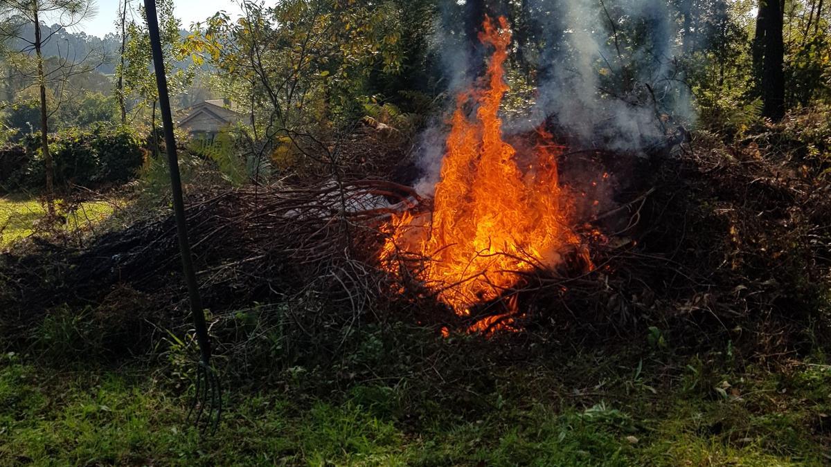 Una quema de restos agrícolas en zona forestal.