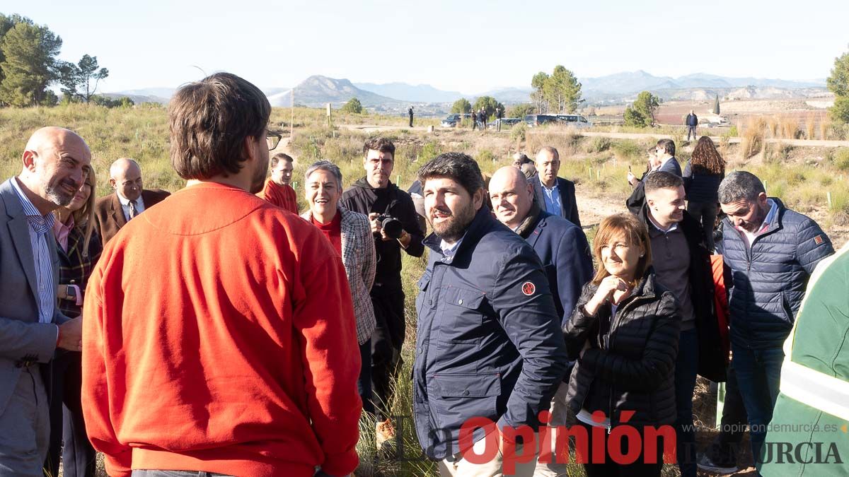 Bosque Disfrimur