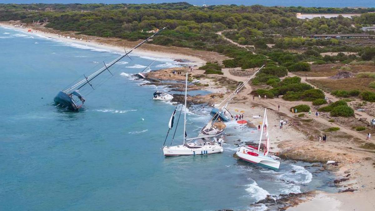 Vista aérea de varios veleros varados en la zona de sa Sequi, en el Parque Natural de ses Salines, donde se produjeron la mayoría de los incidentes.