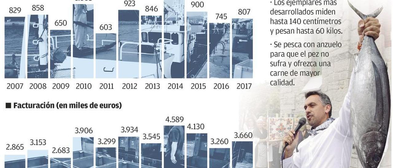 La costera del bonito acumula en Avilés una mejora del 9% a una semana de su fin