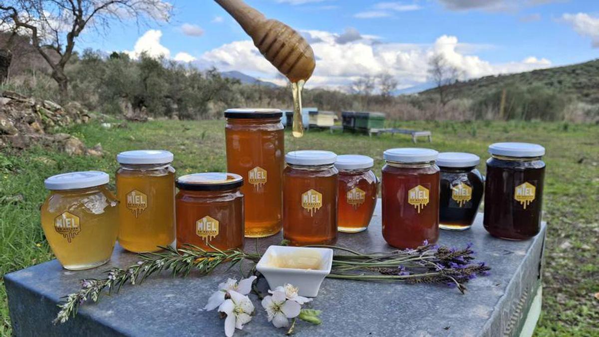 Distintas variedades de mieles producidas en Málaga y que han recibido el reconocimiento de la Unión Europea.