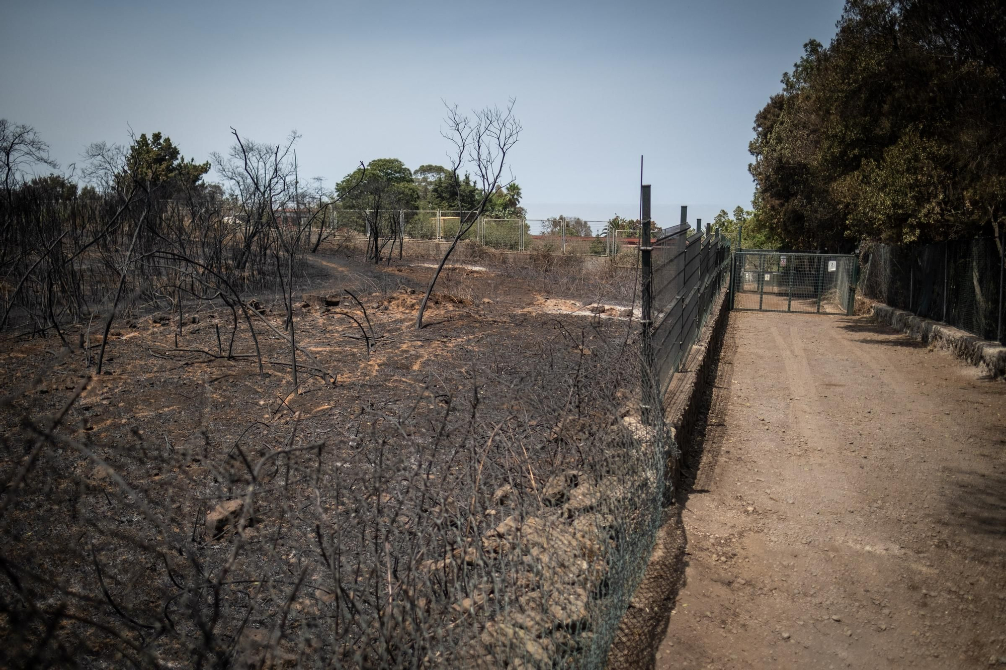 Monitoring of the fire in Tenerife
