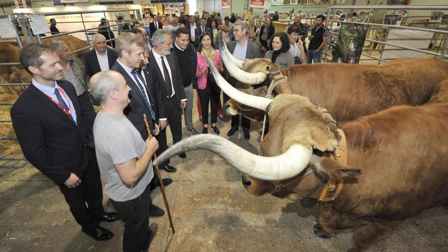 Alfonso Rueda, con cargos políticos autonómicos y locales, en la inauguración del año pasado.