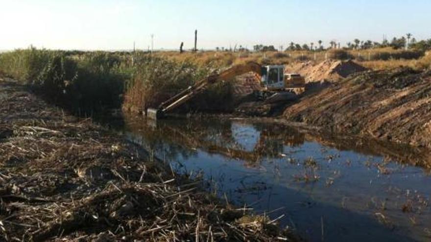 Actuaciones en el Vinalopó Continúa la limpieza de los barrancos