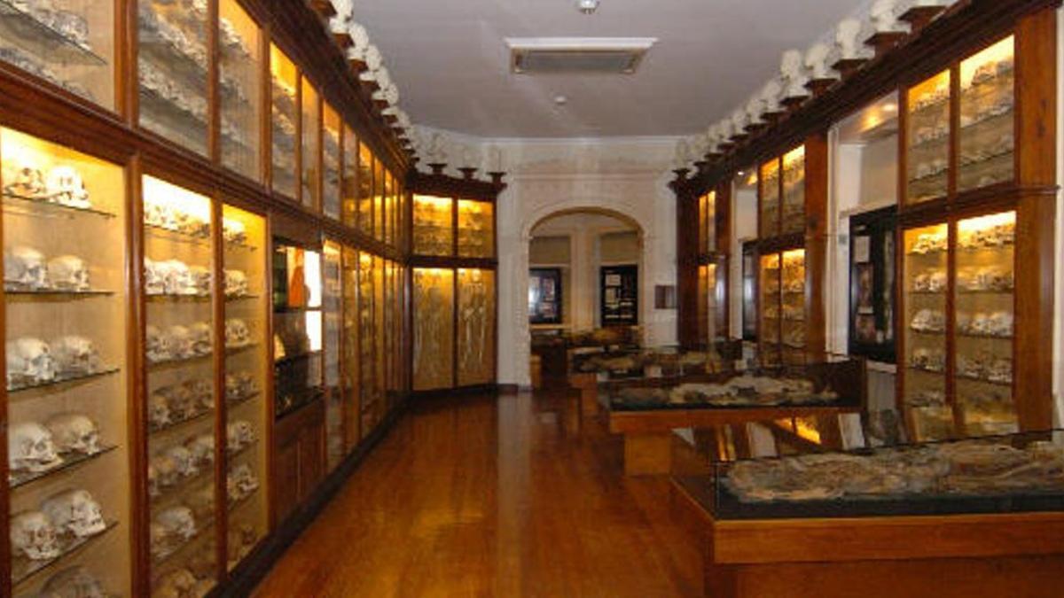 El Museo Canario.