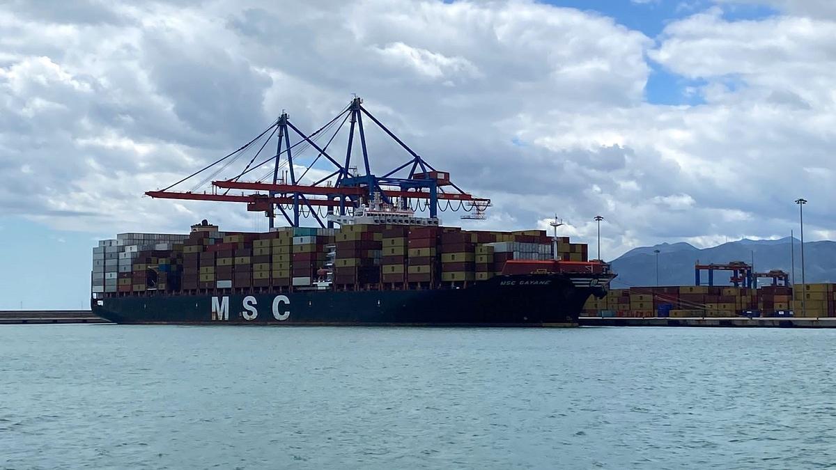 EL buque MSC Gayane operando este miércoles en el muelle 9 del Puerto de Málaga