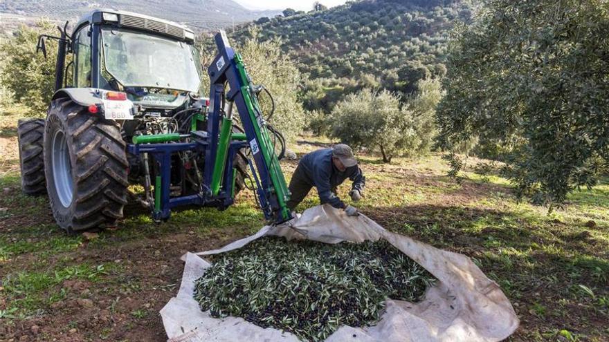 Récord histórico del campo cordobés al alcanzar una facturación de 1.323 millones