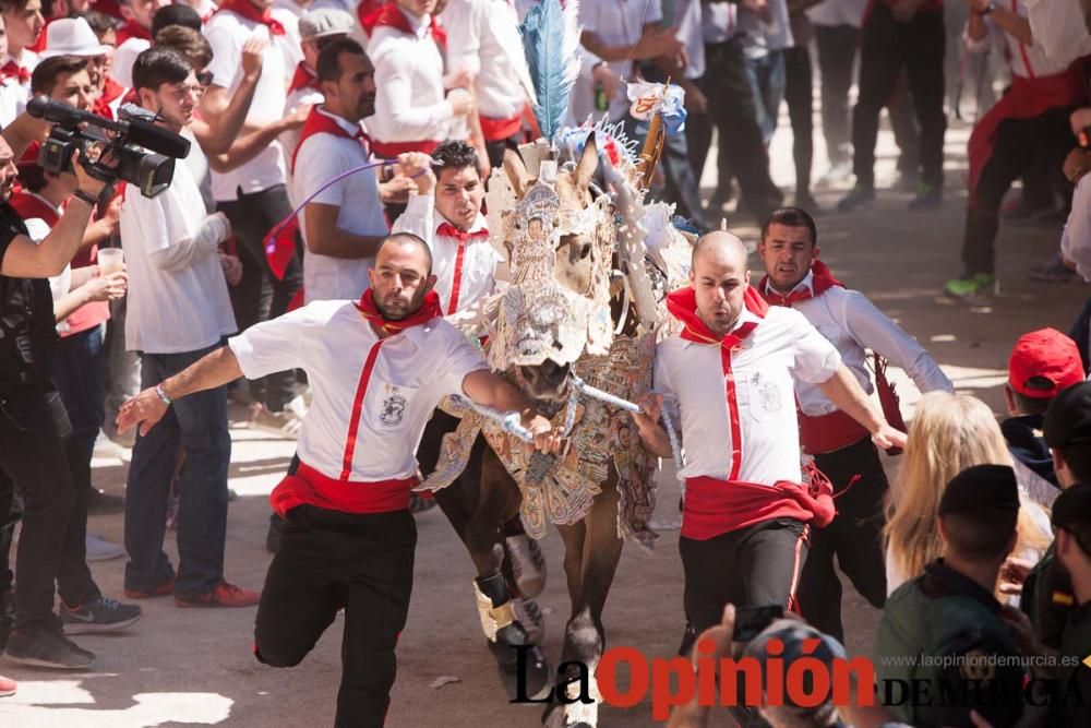 Carrera de los Caballos del Vino