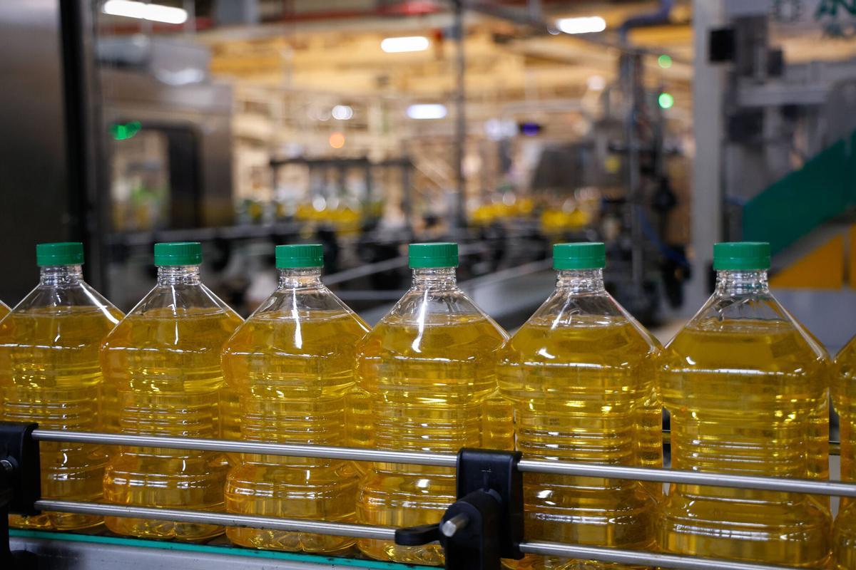 Cadena de embotellado de aceite de aceite de oliva en la fábrica de Deoleo en Alcolea, Córdoba.